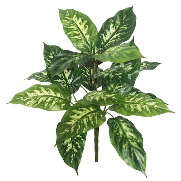 Dare2Decor 22 in. Artificial Green Dieffenbachia Plant with 18 Leaves  2 per Pack - DA1626899