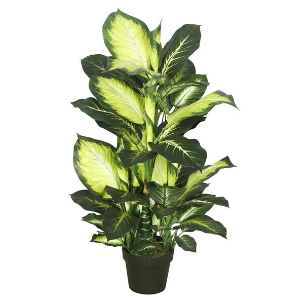 Vickerman Dieffenbachia Everyday Tree with Pot-Green White - 40 in. - TA170201