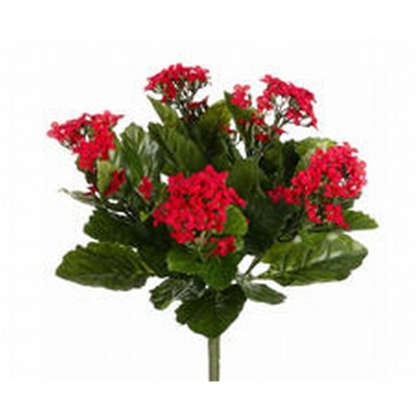 Allstate 13.5 in. Red Kalanchoe Bushes X5-, 6PK - FBK107-RE