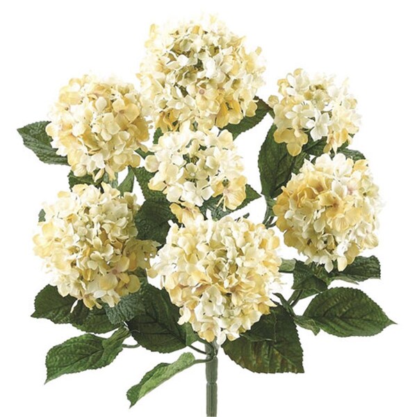 Allstate 20 Inch Hydrangea Bush  with Flocked Leaves in Cream Beige, 6PK - FBH480-CR-BE