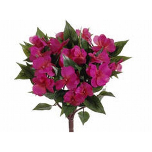 Allstate 13.7 in. New Guinea Impatiens Bushes Beauty-, 6PK - FBI633-BT