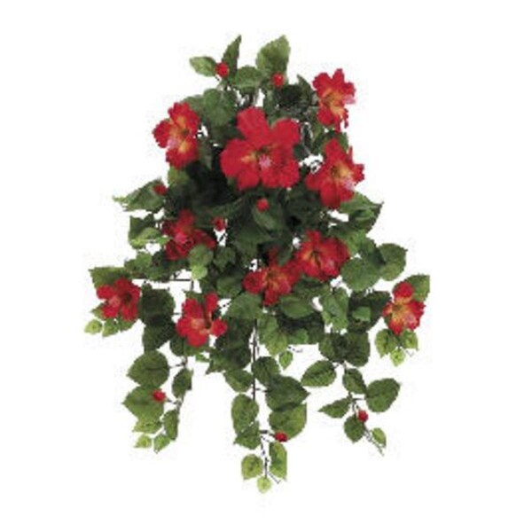 Allstate FBH216-RE-TO 26 in. Tomato Red Hibiscus Hanging Bushes X13, 4PK - FBH216-RE/TO