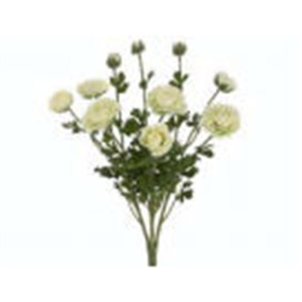 Allstate 19 in.Ranunculus Bush Cream-, 6PK - FBR549-CR