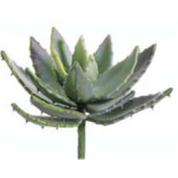Allstate CA4411-GR-MV 8 in. Aloe Plant Mauve Green-, 6PK - CA4411-GR/MV