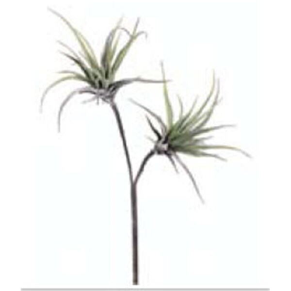 Dwellingdesigns 21.5 in. Medium Tillandsia Spray X2, 12PK - DW35026