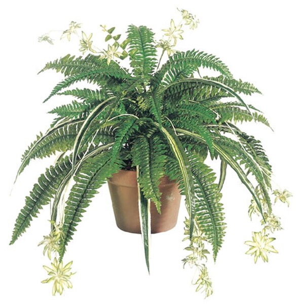 Allstate 32 Inch Silk Mixed Boston Fern-Spider plant x48 - Green, 6PK - PBF648-GR