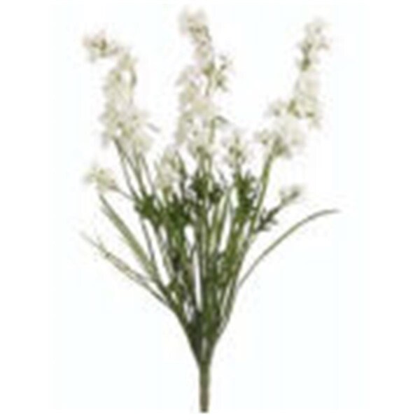 Allstate 24.5 in. Cream Delphinium Bush X3-, 12PK - FBD261-CR