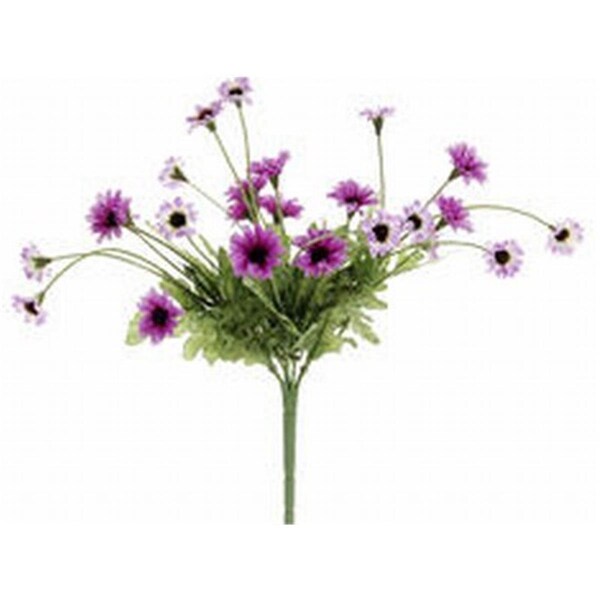 Allstate FBD515-PU-TT 10.5 in. Two Tone Purple Daisy Bushes X5-, 24PK - FBD515-PU/TT