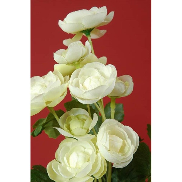 Allstate 13 in. Cream Mini Ranunculus Bush X5-, 12PK - FBR995-CR