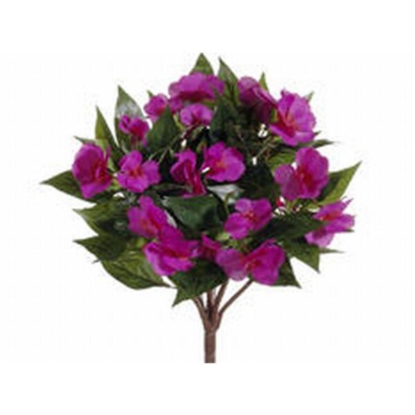 Allstate 13.7 in. New Guinea Impatiens Bushes Fuchia-, 6PK - FBI633-FU