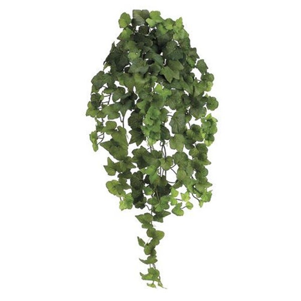 Allstate Floreal 31 in. Natural Hedera Ivy Bu-Vi.X10 - Green, 4PK - PBI232-GR
