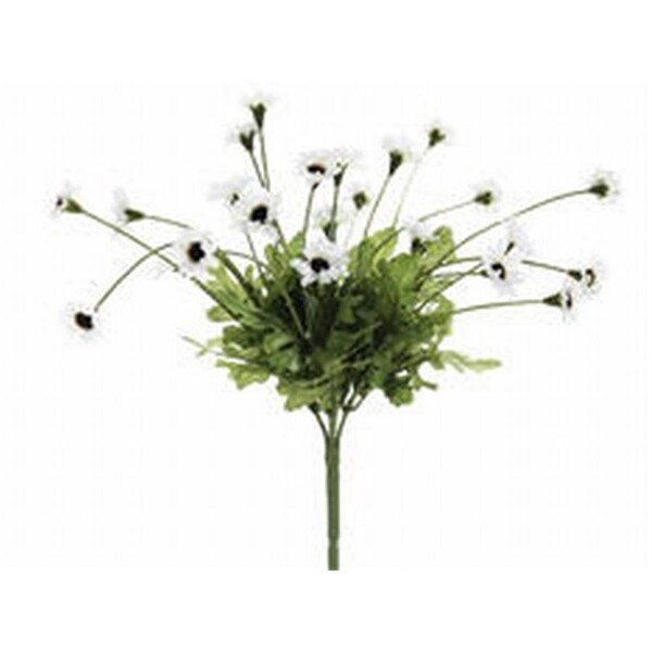 Allstate 10.5 in. White Daisy Bushes X5-, 24PK - FBD515-WH