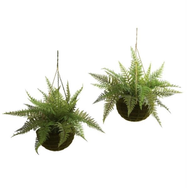 Dare2Decor Leather Fern with Mossy Han- ng Basket - Indoor-Outdoor, 2PK - DA664568
