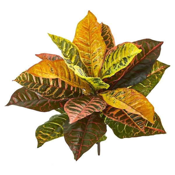 Dare2Decor 21 in. Garden Croton Artificial Plant - Set of 4 - DA3661091