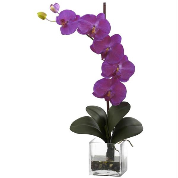 Nearly Natural Giant Phal Orchid with Vase Arrangement - 1324-OR