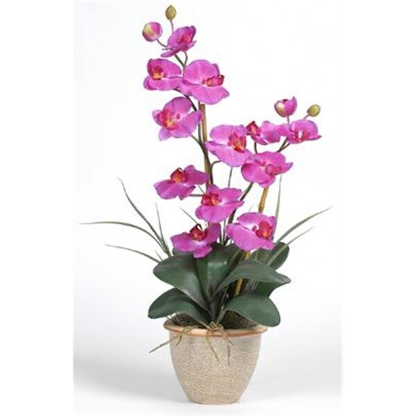 Nearly Natural Double Stem Phalaenopsis Silk Orchid Arrangement - 1026-OR
