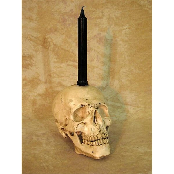 Truco Skull Candle Holder - Real Candle Not Included - TR1864837
