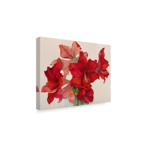 Trademark Fine Art Joanne Porter 'Holiday Amaryllis' Canvas Art, 14x19 - ALI30453-C1419GG