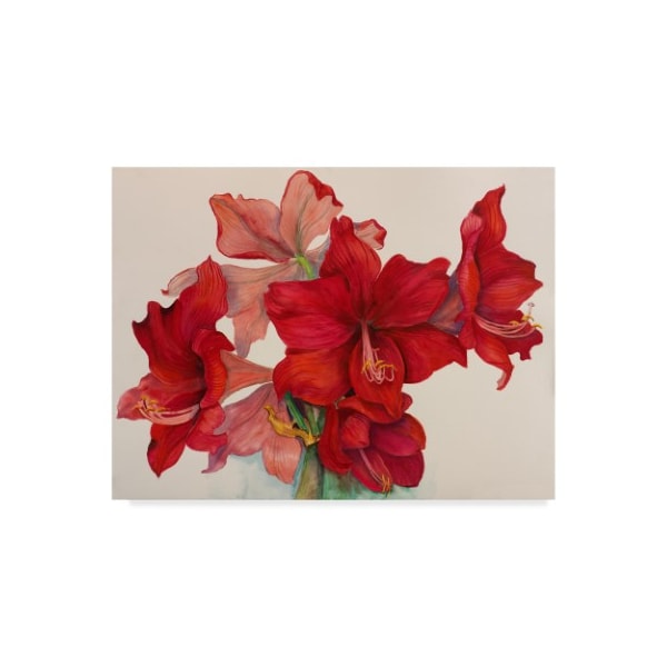 Trademark Fine Art Joanne Porter 'Holiday Amaryllis' Canvas Art, 14x19 - ALI30453-C1419GG
