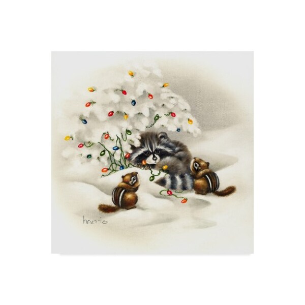 Trademark Fine Art Peggy Harris 'Raccoon Christmas Lights' Canvas Art, 18x18 - ALI42299-C1818GG