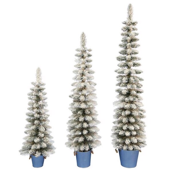 Celebrations Celebrations 5 ft. Slim Flocked Pencil Christmas Tree - 22-111-430-3PK