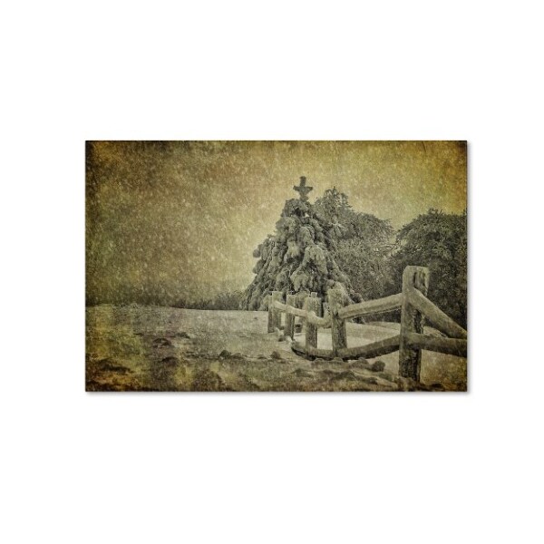 Trademark Fine Art Lois Bryan 'Oh Christmas Tree in Snow' Canvas Art, 12x19 - LBR0273-C1219GG