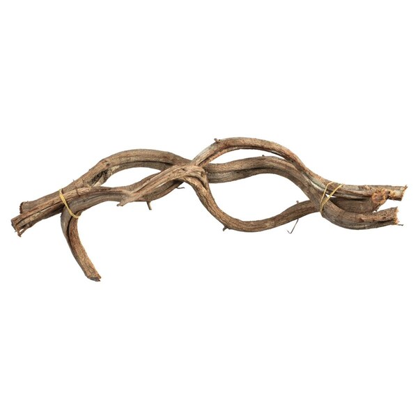 Vickerman 18-22 in. Natural Twisted Vine Bundle - 3 Piece - H2TVB000