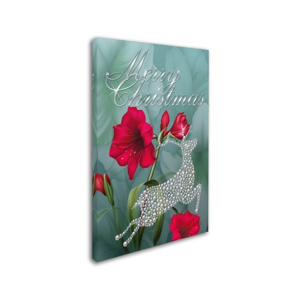 Trademark Fine Art Jean Plout 'Botanical Christmas' Canvas Art, 12x19 - ALI17133-C1219GG