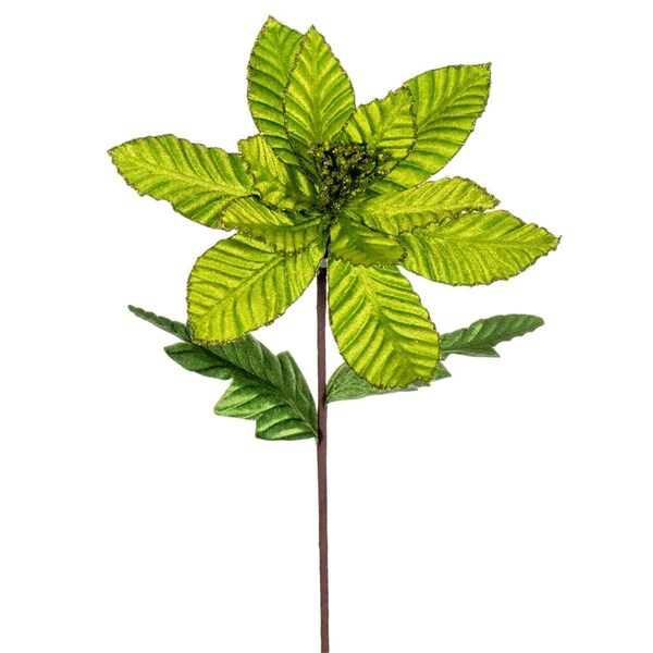Vickerman 22 in. Velvet Glitter Trim Poinsettia Spray, Lime - 6 per Bag - RG223173