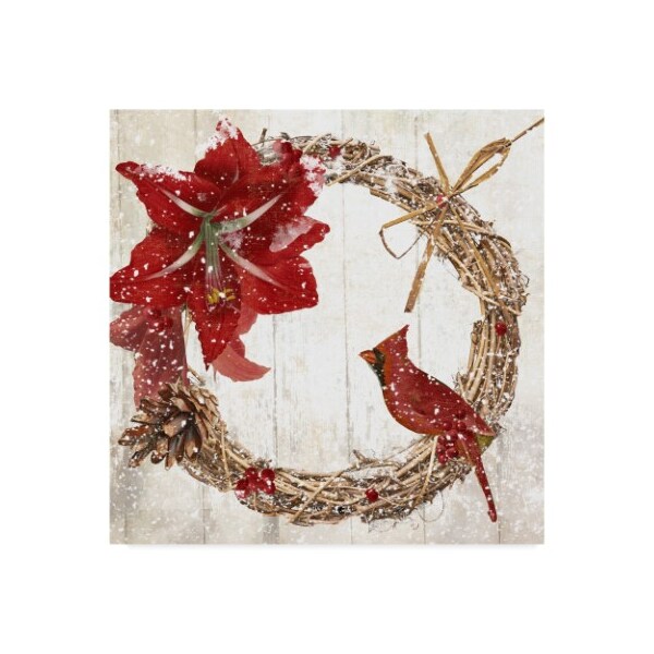 Trademark Fine Art Color Bakery 'Cardinal Christmas II' Canvas Art, 24x24 - ALI20883-C2424GG
