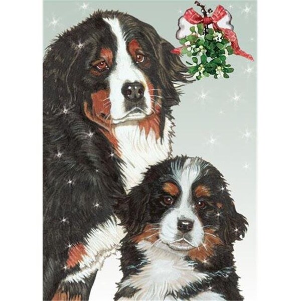 Pipsqueak Productions Pipsqueak Productions C559 Bernese Holiday Boxed Cards - C559