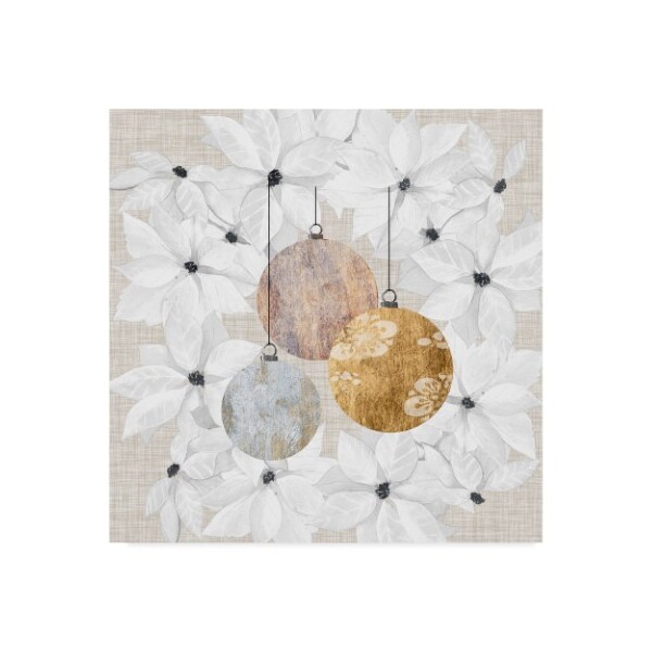 Trademark Fine Art Grace Popp 'Sophisticated Christmas Iv' Canvas Art, 24x24 - WAG04445-C2424GG