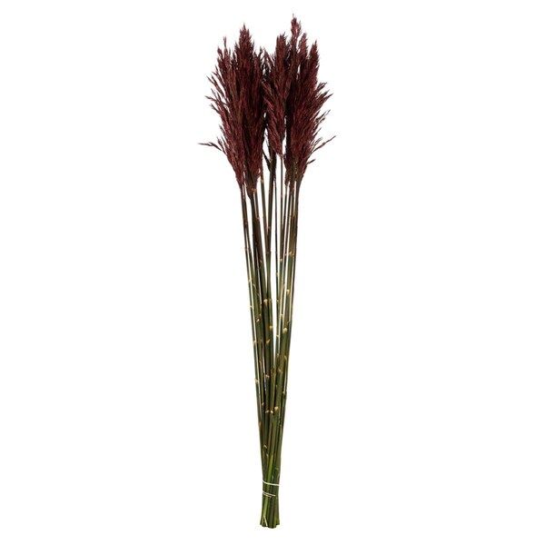 Vickerman 36-40 in. Merlot Plume Reed - 7-8 oz Bundle - H1PLR450