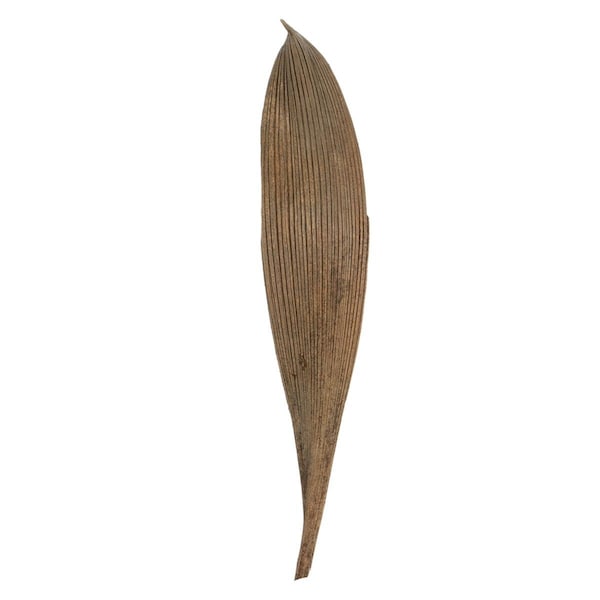 Vickerman 6-12 in. Natural Palm Paddles Florida Tree - 45-50 per Pack - H2PAM000-1