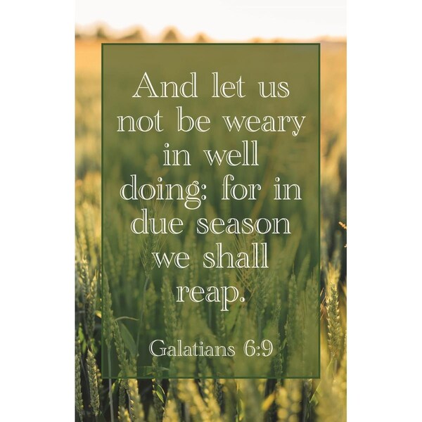 B & H Publishing And Let us Not Be Weary in Well Doing We Shall Reap Galatians 6 Bulletin - 259751