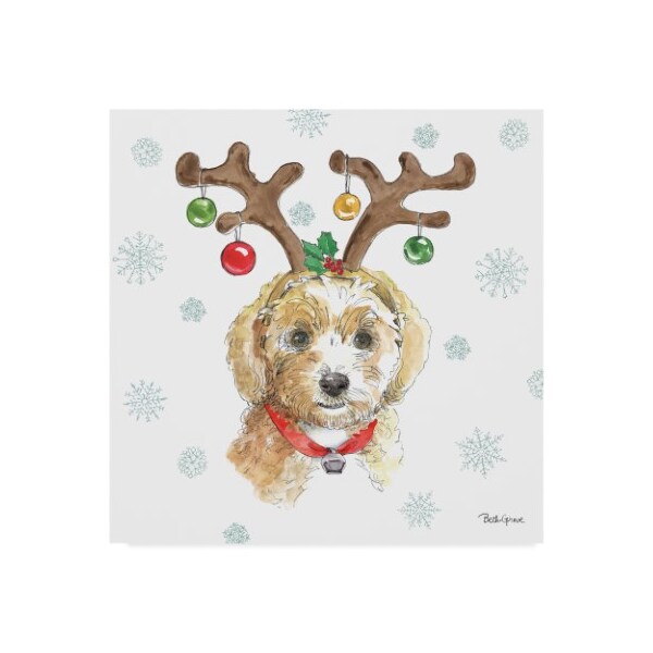 Trademark Fine Art Beth Grove 'Holiday Paws Vi' Canvas Art, 35x35 - WAP09382-C3535GG