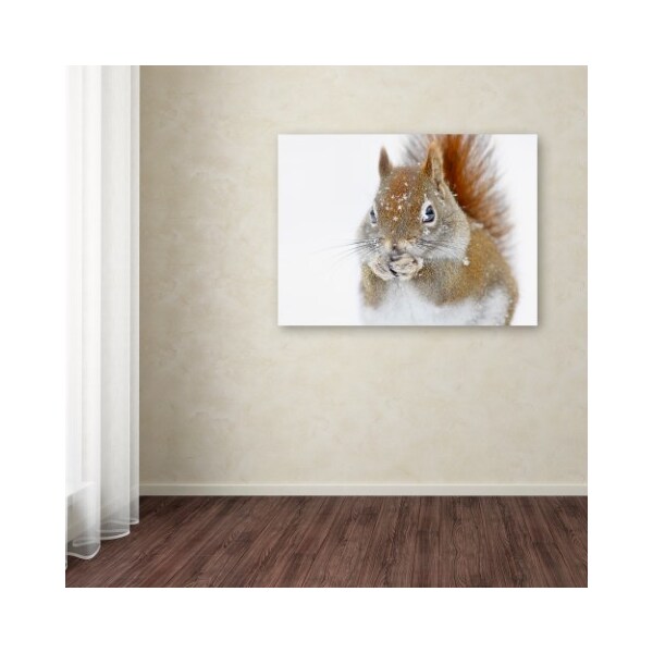 Trademark Fine Art Mircea Costina 'Christmas Squirrel' Canvas Art, 35x47 - 1X00239-C3547GG