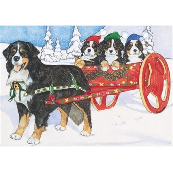 Pipsqueak Productions Pipsqueak Productions C965 Bernese Holiday Ride Christmas Boxed Cards - Pack of 10 - C965