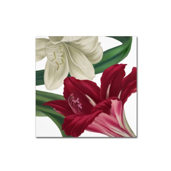 Trademark Fine Art Color Bakery 'Christmas Amaryllis II' Canvas Art, 14x14 - ALI4023-C1414GG