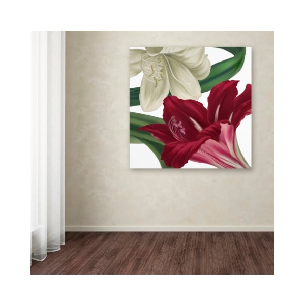 Trademark Fine Art Color Bakery 'Christmas Amaryllis II' Canvas Art, 14x14 - ALI4023-C1414GG
