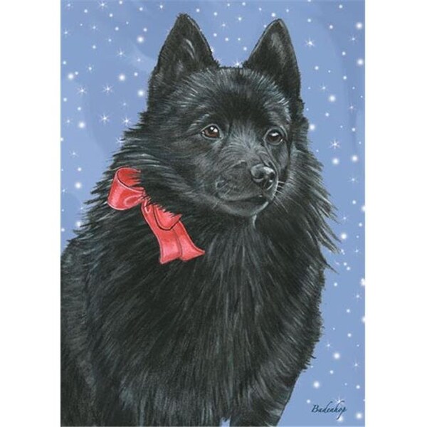 Pipsqueak Productions Pipsqueak Productions C708 Schipperke Christmas Boxed Cards - Pack of 10 - C708