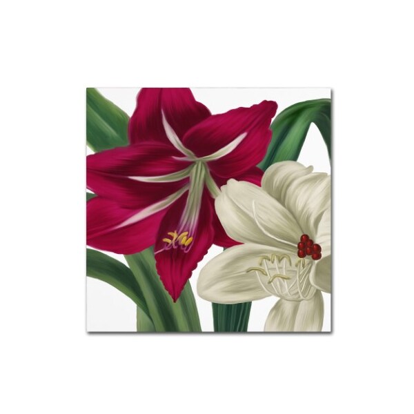 Trademark Fine Art Color Bakery 'Christmas Amaryllis I' Canvas Art, 18x18 - ALI4022-C1818GG