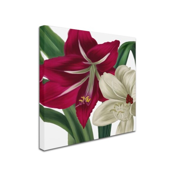 Trademark Fine Art Color Bakery 'Christmas Amaryllis I' Canvas Art, 18x18 - ALI4022-C1818GG