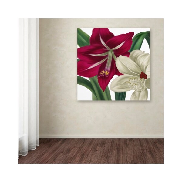 Trademark Fine Art Color Bakery 'Christmas Amaryllis I' Canvas Art, 18x18 - ALI4022-C1818GG