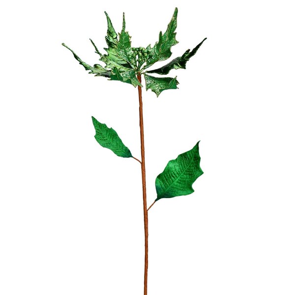 Vickerman 32 in. Green Glitter Poinsetta Spray, 2PK - RX193504