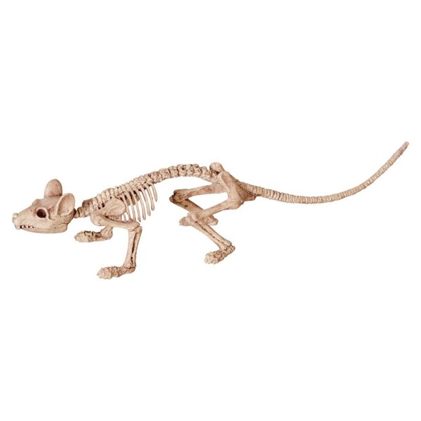 Goldengifts Assortment of Animal Skeletons Halloween Decoration Bone, 12PK - GO1493151