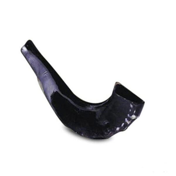 Rite Lite 13in Medium Shofar for Jewish New Year Supplies - SH-B