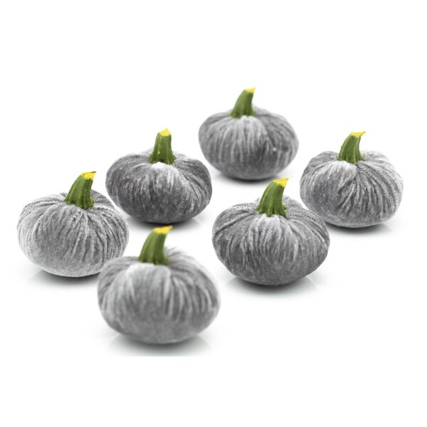 Flora Bunda S/6 GREY VELVET PUMPKINS IN BOXSM - FA2517E-GY