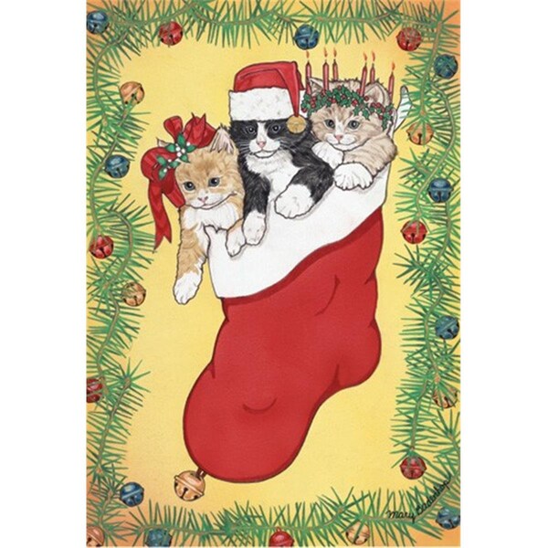 Pipsqueak Productions Stocking Stuffers Cat Christmas Boxed Cards -10PK - PI392981