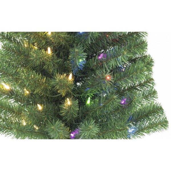 Celebrations Celebrations 4 ft. Full LED 70 lights Color Changing Christmas Tree - J40-116-70